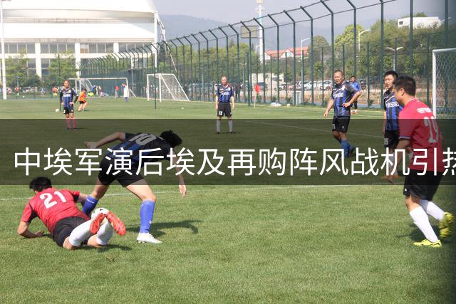 中埃军演后埃及再购阵风战机引热议
